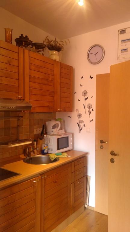 Fatrapark 1 U Sovicky Studio, Kuchynka, Kupelna,S Balkonom Gratis Parkovanie V Podzemnej Garazi Ружомберок Экстерьер фото